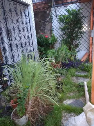 Imagem CASAL IMÓVEIS VENDE CASA HUMAITÁ/PEDREIRA COM 5/4 + 1 DCE- /2 PAVIMENTOS/2 VGS/QUITADA/APTA AO FINANCIAMENTO