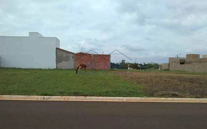 Foto do imóvel Terreno Padrão