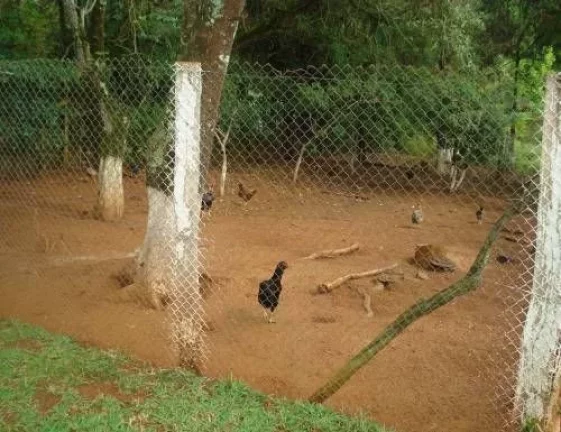 Imagem Chácara à venda na Estância Paraíso – Cesário Lange/SP – R$ 1.200.000,00