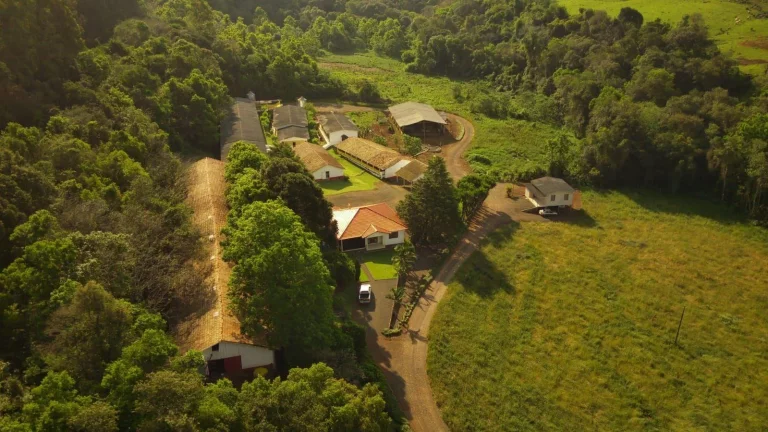 Imagem Granja para Venda em Concórdia, Rural
