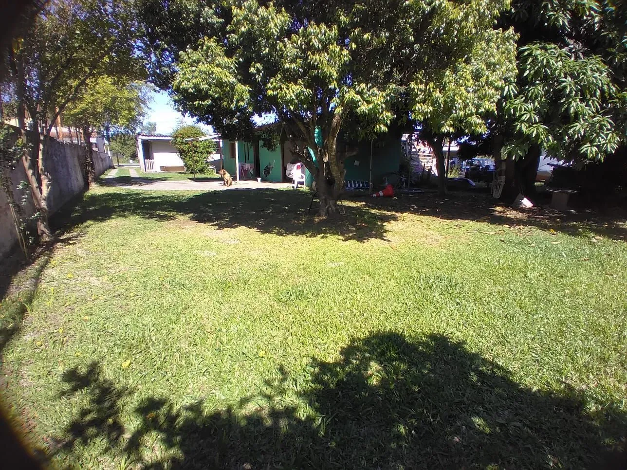 Imagem Excelente Terreno à Venda na Avenida Edgar Pires de Castro - Localização Imbatível!