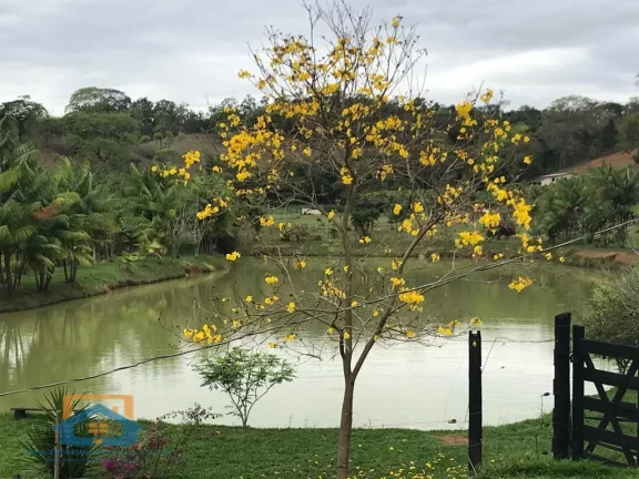 Imagem Sítio de luxo em Belo Oriente