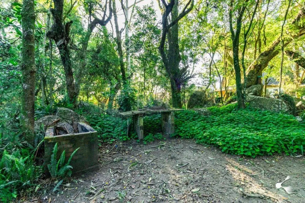 Imagem Sítio para Venda - 25000m², 0 dormitórios, Lomba do Pinheiro