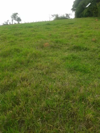 Imagem [Vendo Sítio em Brazópolis] [7 hectares com córrego d'água]