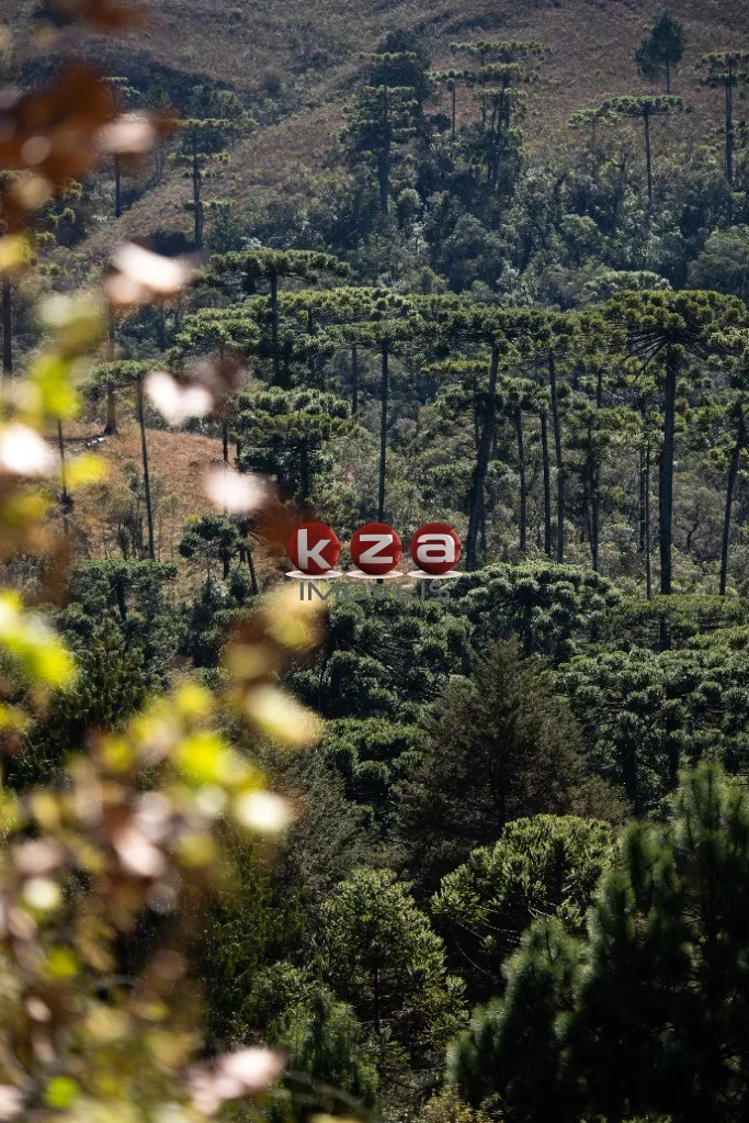 Imagem Casa de Luxo à Venda em Campos do Jordão - Green Hills Village: 5 Quartos, 3 Suítes, 3 Salas, 8 Banheiros, 3 Vagas, 300m².