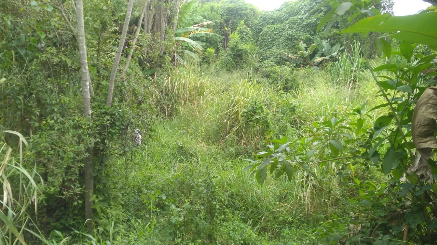 Imagem Terreno à venda 6866M², Crispim, Pindamonhangaba - SP