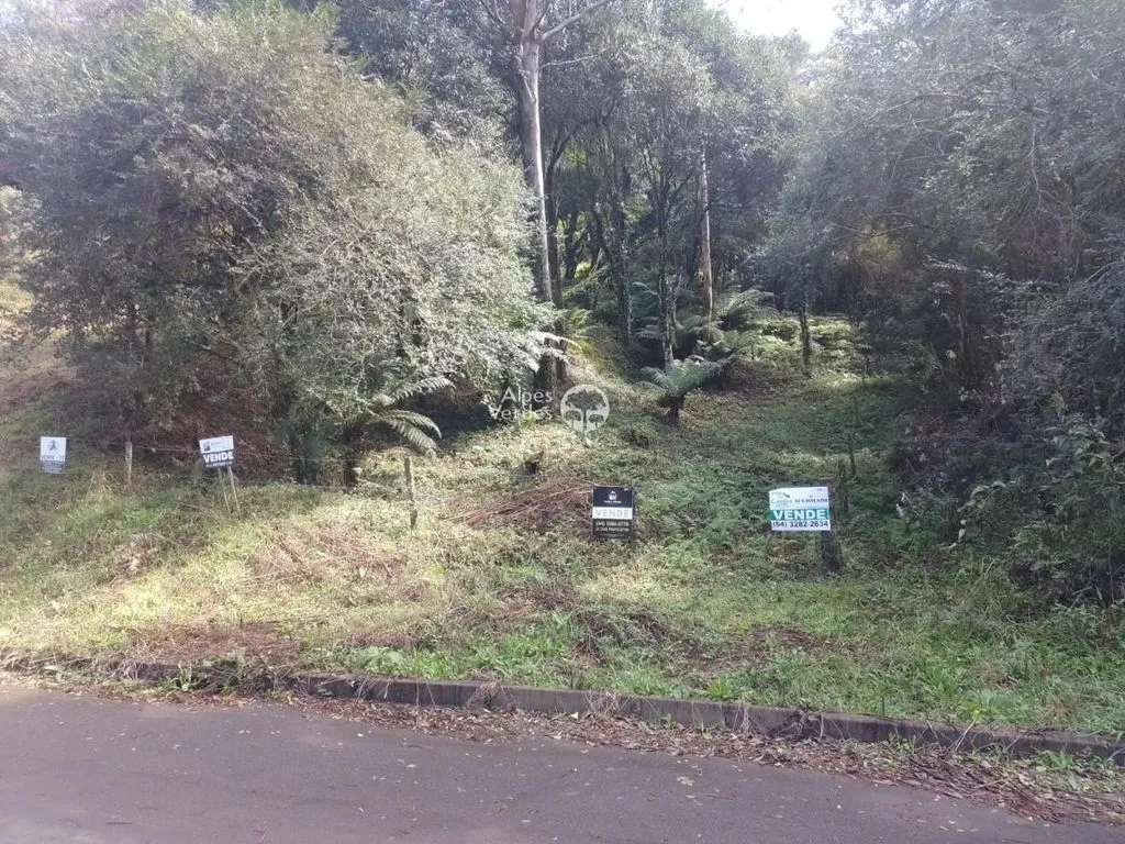 Imagem Terreno à Venda em Santa Terezinha, Canela - RS