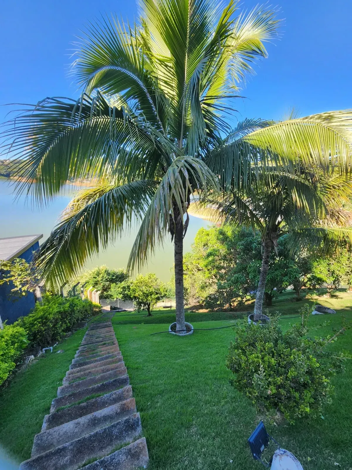 Imagem Chácara com 11 Quartos à Venda, 3000 m² em Paraíso de Igaratá - Igaratá