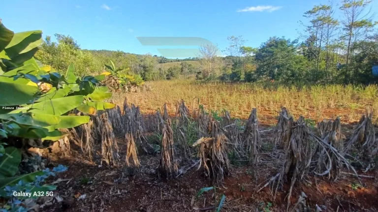 Imagem Chácara para Venda em Concórdia, Área Rural de Concórdia, 4 dormitórios, 1 suíte, 4 banheiros, 2 vagas