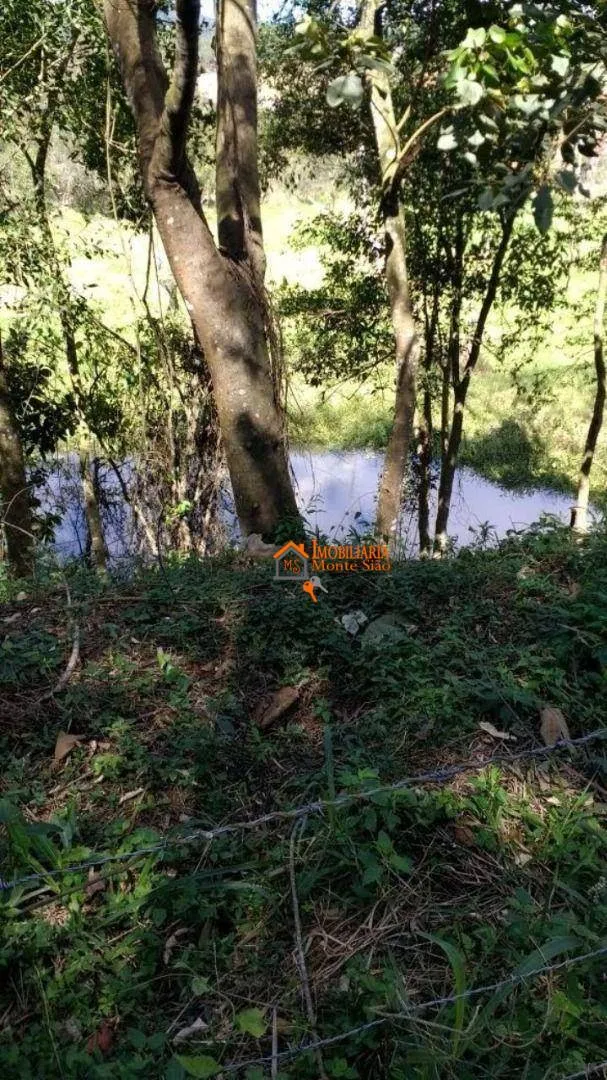 Imagem Sítio com 3 dormitórios à venda, 24200 m² por R$ 820.000,00 - Cuiabá de Cima - Nazaré Paulista/SP