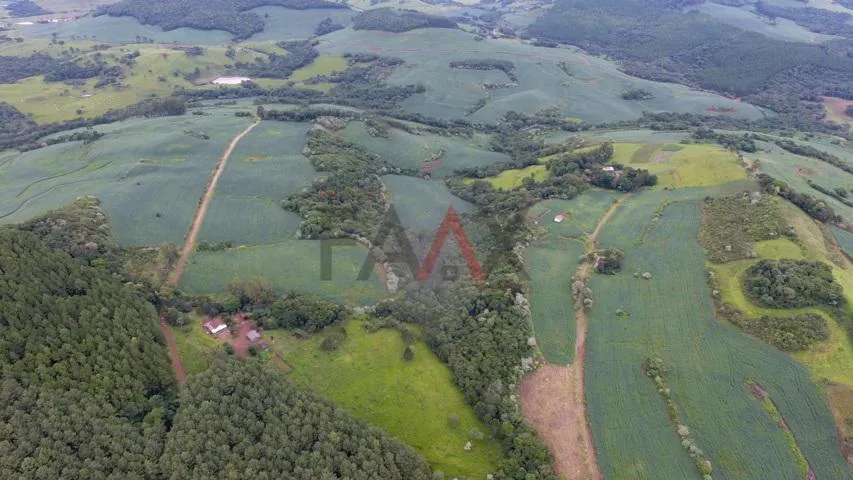 Imagem Rural à venda,112719.00m², Linha São Paulo, RENASCENCA - PR