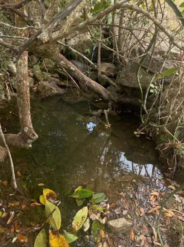 Imagem Sítio Maravilhoso à Venda em Bonfim/MG, com 9 hectares de terra
