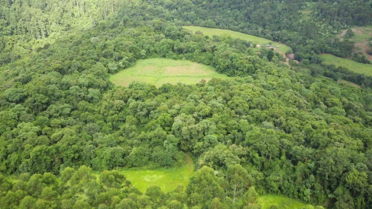 Imagem Área Agrícola para Venda em Concórdia, Concórdia