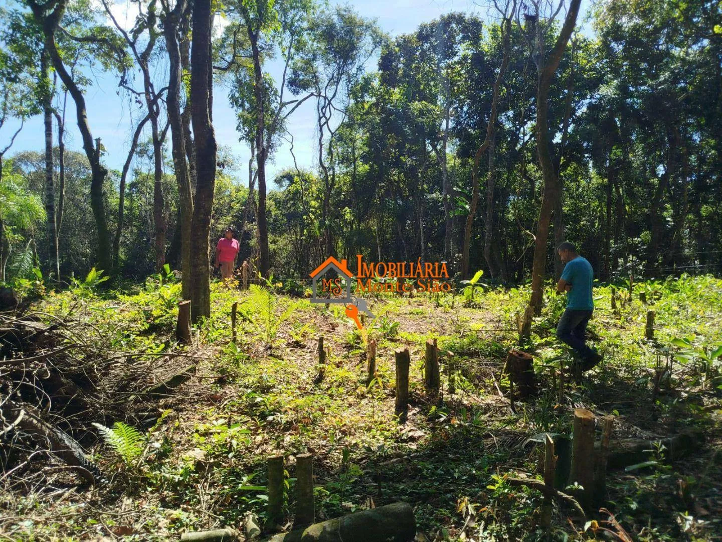 Imagem Terreno à venda, 3.068m² por R$ 212.000 - Parque Santos Dumont - Guarulhos/SP