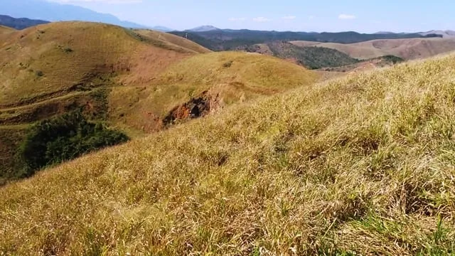 Imagem Chácara à venda Zona Rural, Lavrinhas - SP
