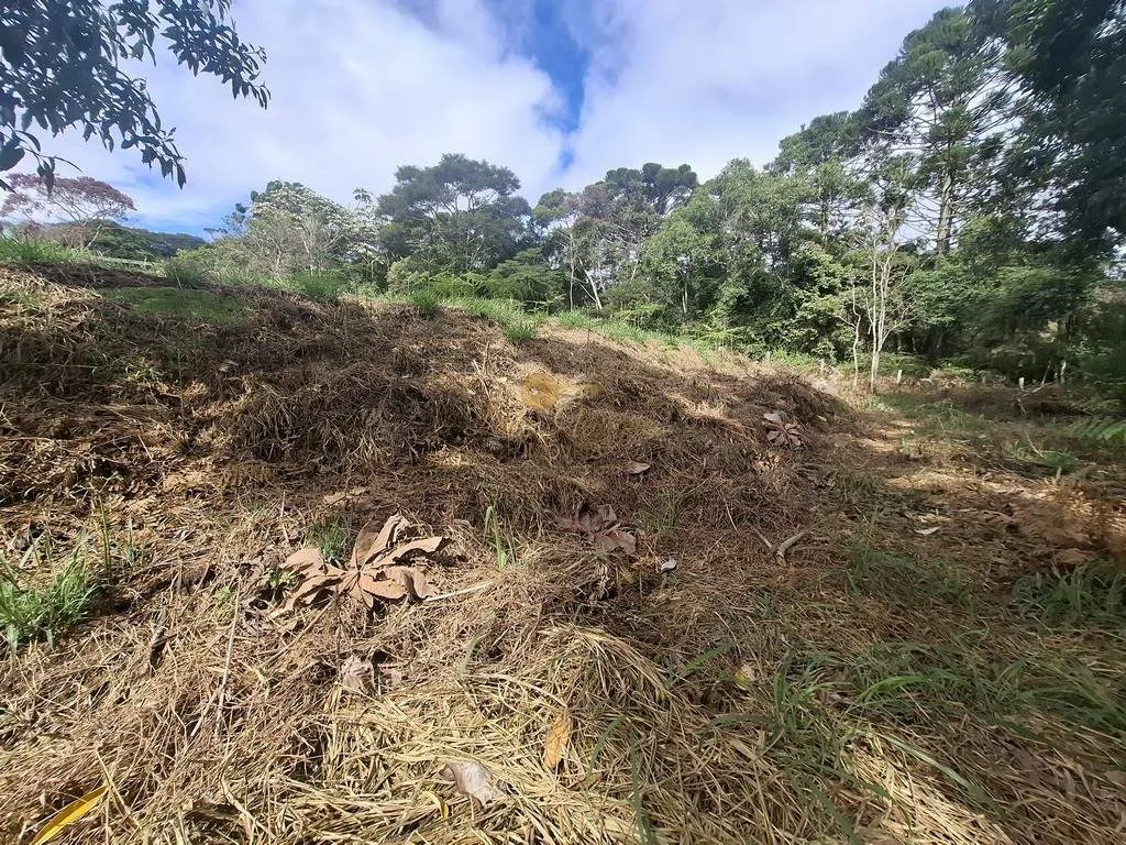 Imagem Terreno para Venda em Teresópolis / RJ no bairro Parque Boa União