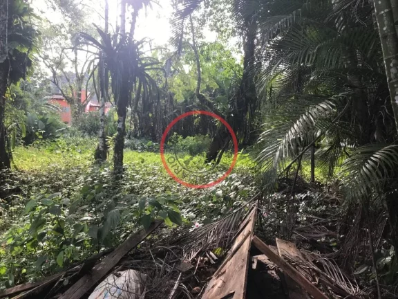 Imagem LOTE DE TERRENO EM BOISSUCANGA , DENTRO DE LOTEAMENTO COM CASAS JÁ CONSTRUIDAS. LOTE COM 725m²