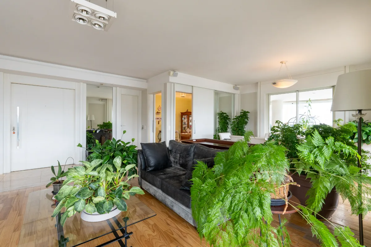 Imagem Apartamento para venda em Vila Andrade com 3 quartos, sendo 3 suítes, 260m2