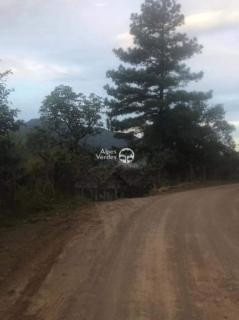 Imagem Sítio à Venda em Zona Rural, Canela - RS