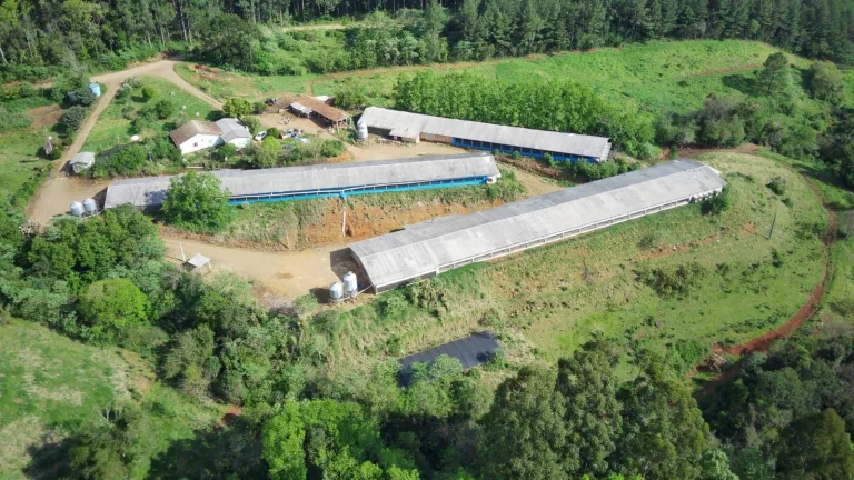 Foto do imóvel Granja para Venda em Lindóia do Sul, Interior em Linha Cotovelo