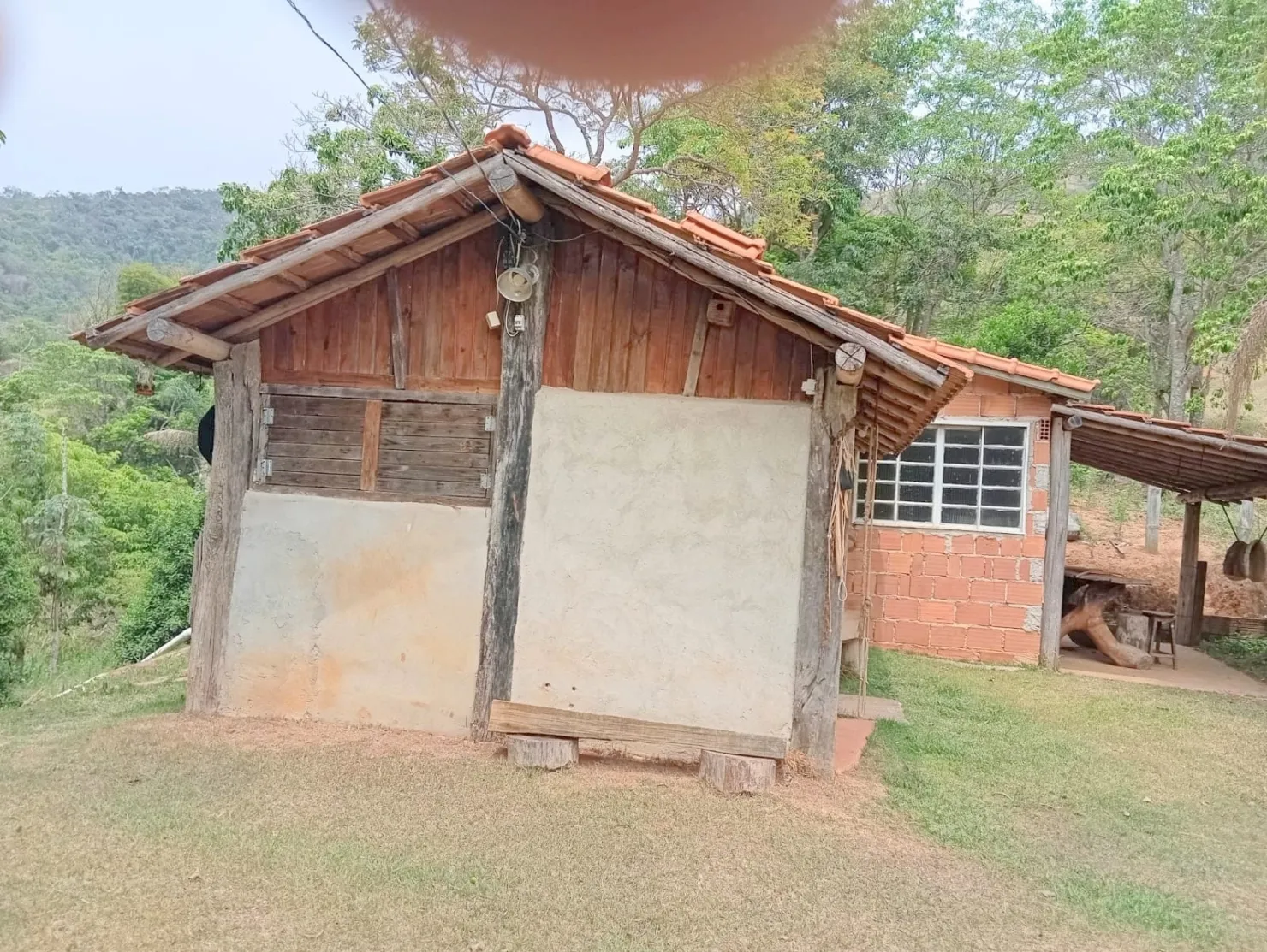Imagem Fazenda proxima a Dutra paraa venda, , Roseira Velha, SP