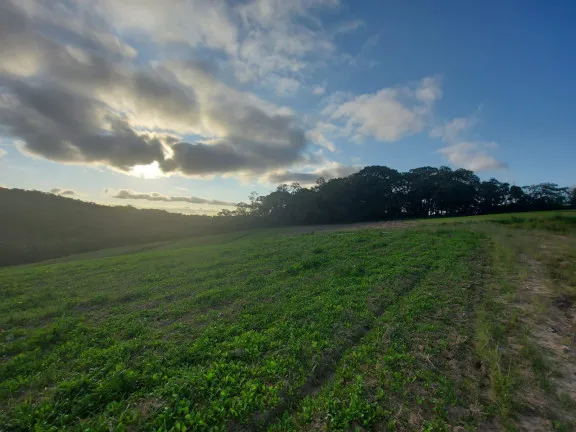 Imagem Terreno à Venda, 1.000 m² em Centro - Cotia