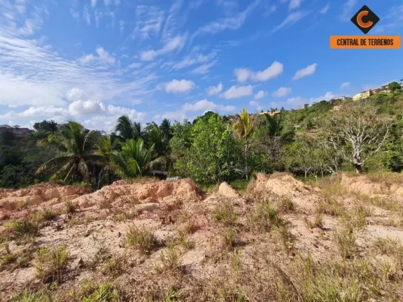 Imagem ÁREA - VIA PARAFUSO