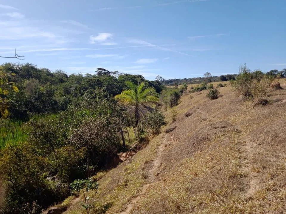 Imagem Vendo Excelente Fazenda em Bonfim/MG 90 hectares de terra