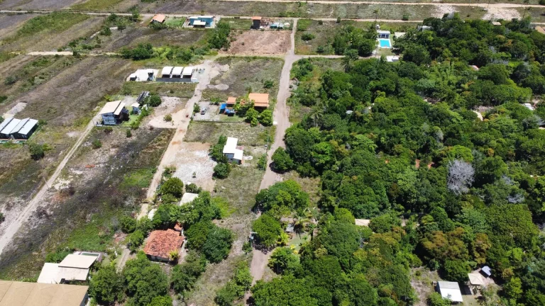 Imagem LOTES NA MATINHA - JORGE LEITE