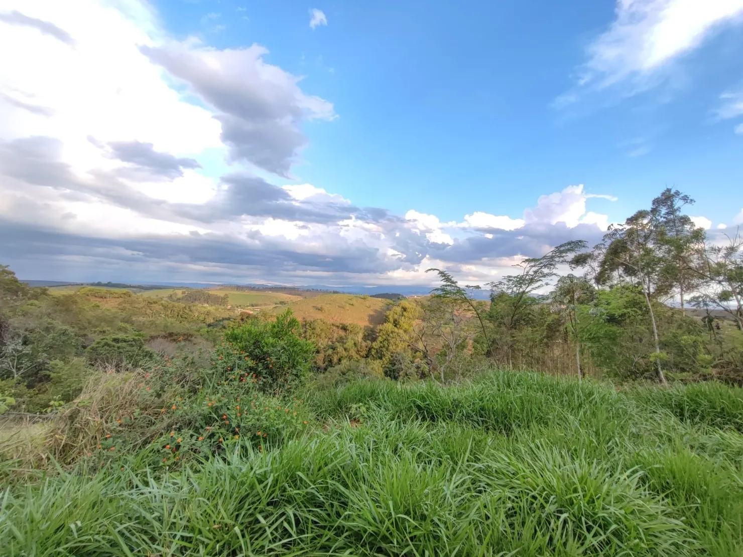 Imagem Chácara à venda 78000M², Zona Rural, Pindamonhangaba - SP