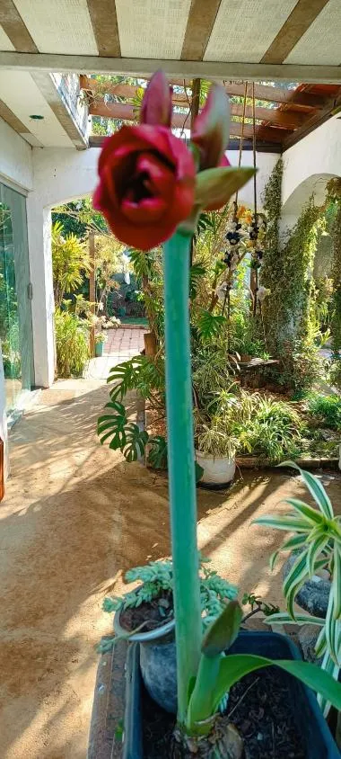 Imagem Linda chácara a venda em Esmeraldas /MG , TAMANHO: 570 M²