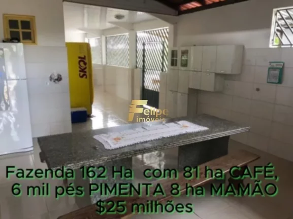 Imagem FAZENDA DE ALTO PADRÃO EM EUNÁPOLIS/BA 162 HECTARES DOCUMENTADOS 81 há de CAFÉ.