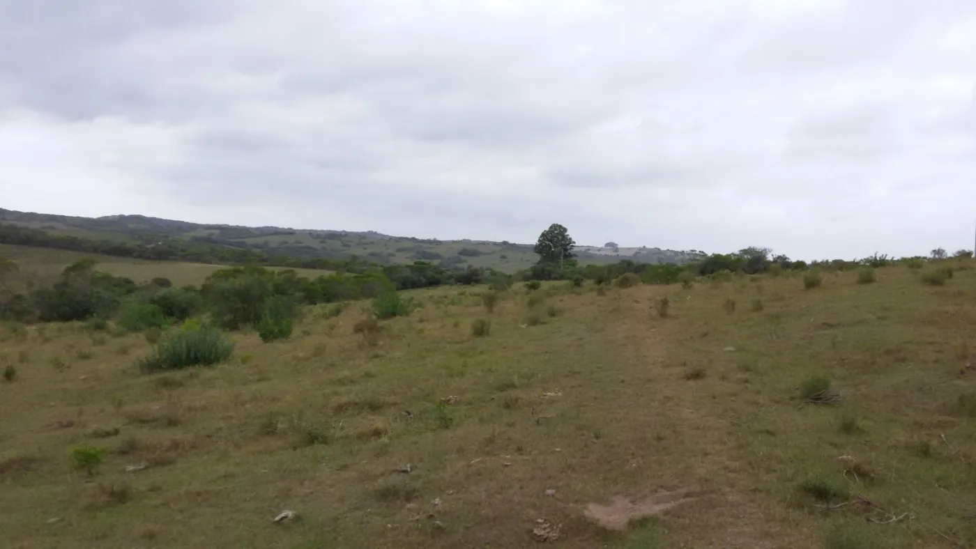 Imagem Sítio para Venda em Pedro Osório, Brasileiras
