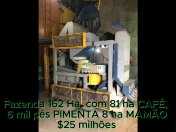 Imagem FAZENDA DE ALTO PADRÃO EM EUNÁPOLIS/BA 162 HECTARES DOCUMENTADOS 81 há de CAFÉ.