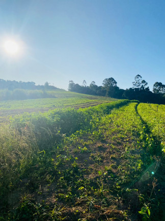 Imagem Chácara à Venda, 1.000 m² em Votora Curral Paruru - Ibiúna
