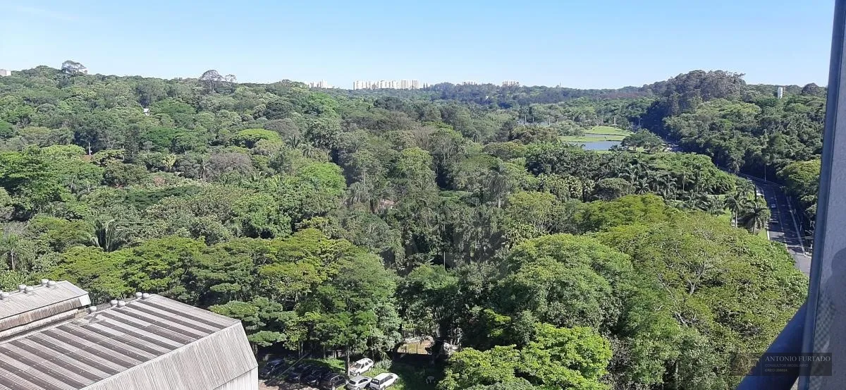 Imagem Apartamento para alugar em Saúde, São Paulo