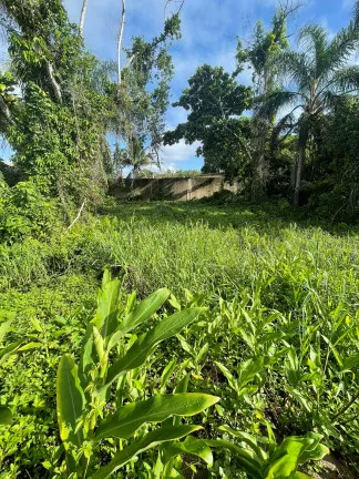 Terreno à Venda, 255 m² em Balneário Gaivota - Itanhaém