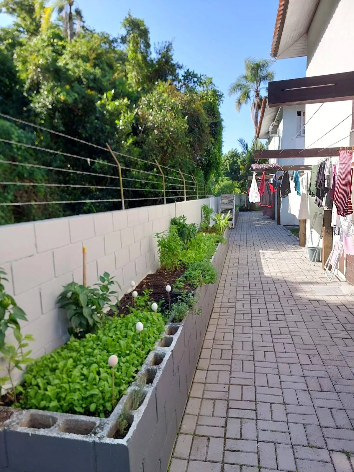 Imagem Apartamento para venda Canasvieiras, 3 dormitórios.