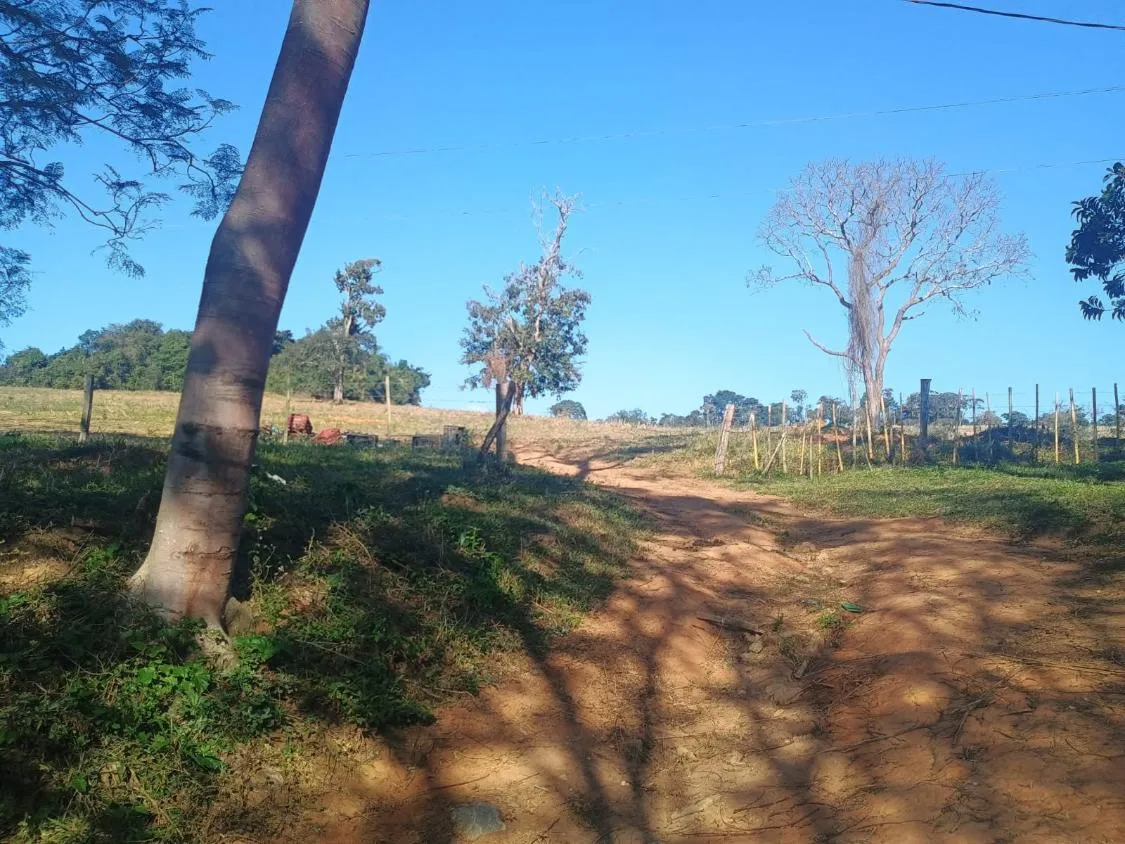 Imagem EXCELENTE TERRENO À VENDA EM OLIVEIRA MG | 16 HECTARES