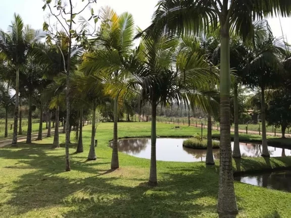 Imagem Sítio em perfeito estado na área rural de Camboriú
