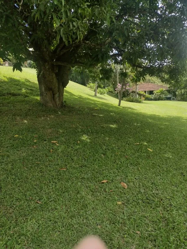 Imagem Vendo lindo sítio/fazendinha com 27 hectares de terra, localizado próximo a Florestal/MG.