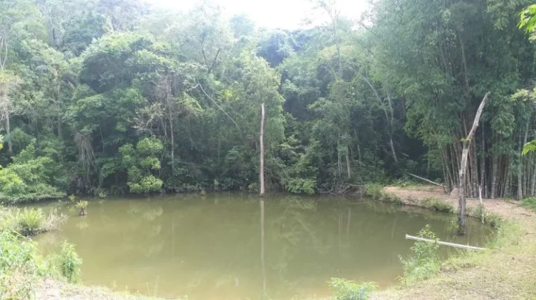 Imagem Sítio - Venda em Cabreúva e Região/SP