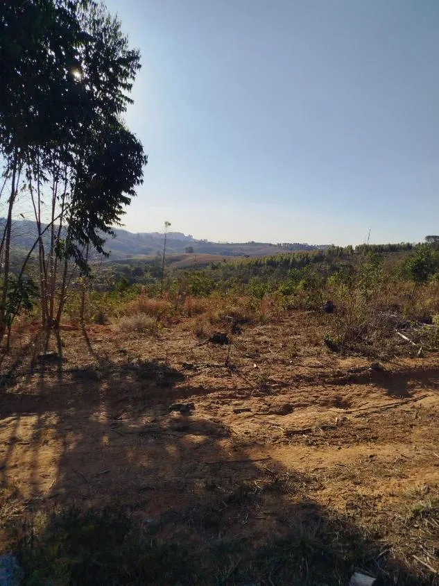 Imagem Vendo uma excelente fazenda em Oliveira / MG 100 hectares de área total;