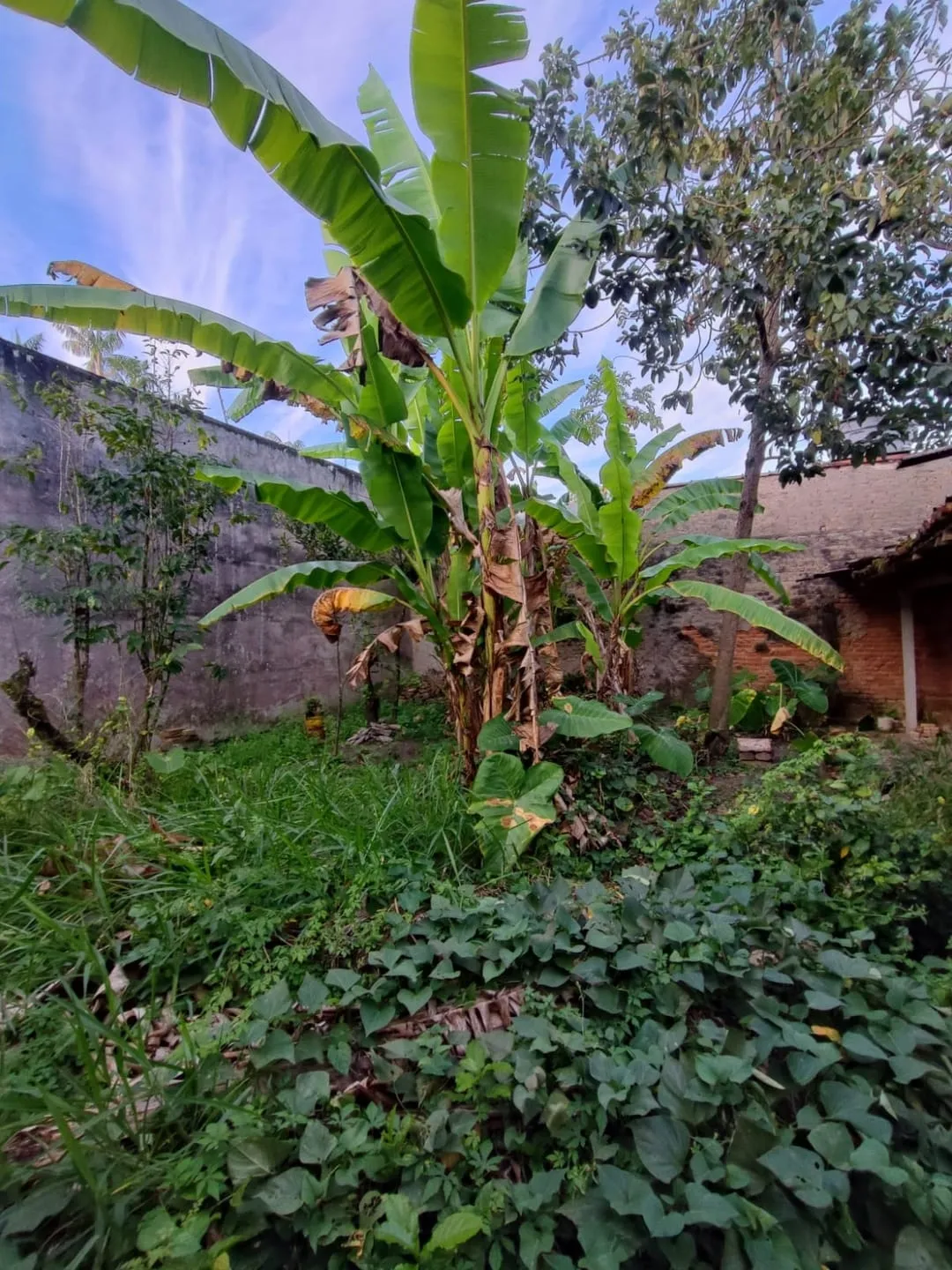 Imagem Comercial à venda 2 Quartos, 300M², Bosque da Princesa, Pindamonhangaba - SP