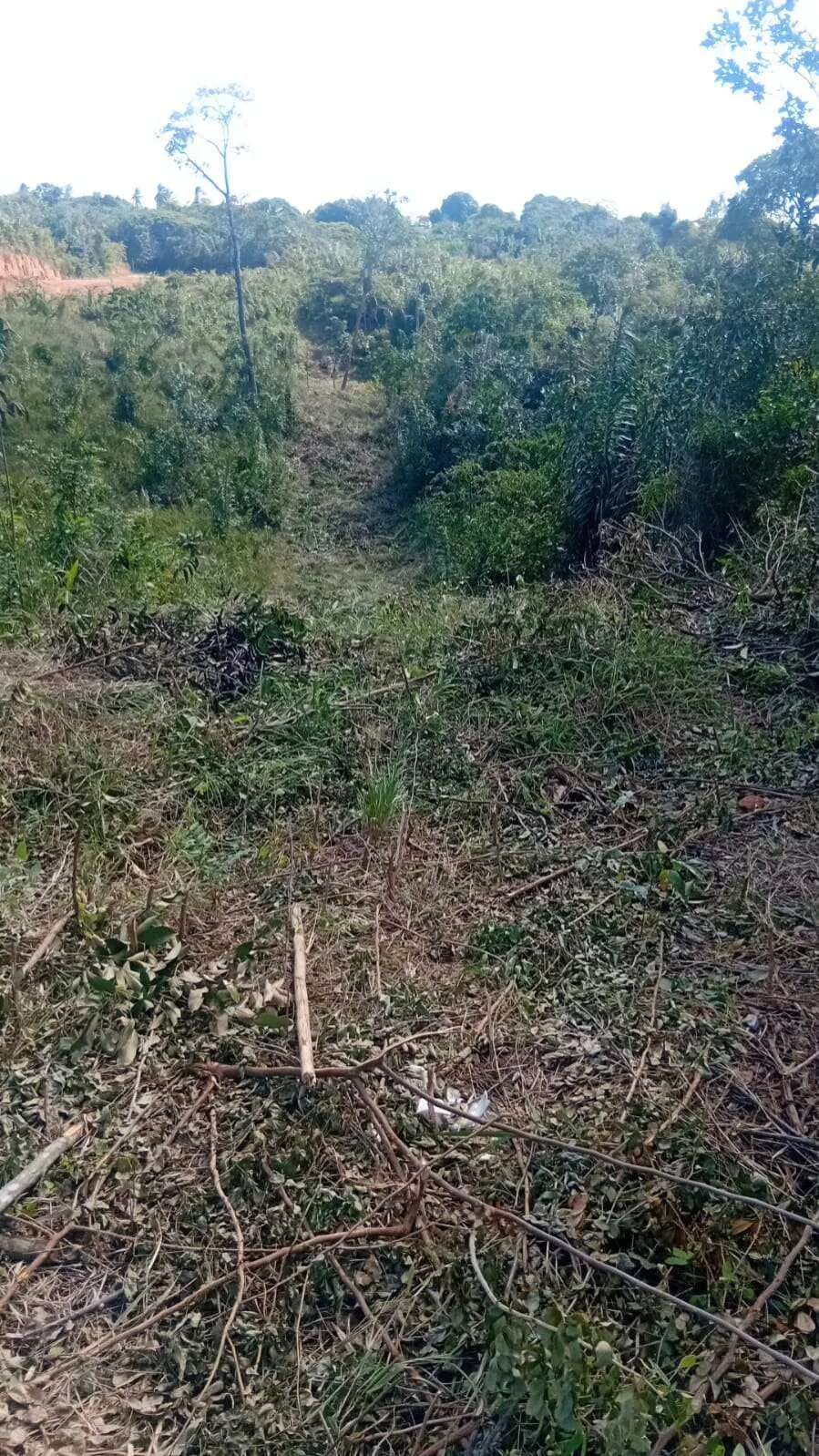 Imagem Terreno à venda em Camaçari, Coqueiros de Arembepe (Abrantes), 5000m2