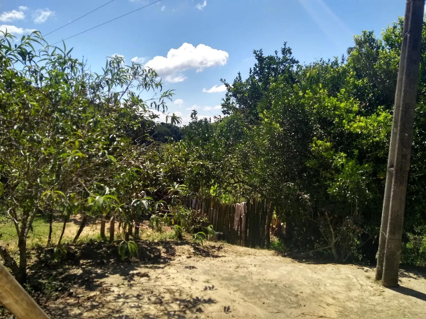 Imagem Chácara à venda 2 Quartos, 768000M², Zona Rural, Cunha - SP