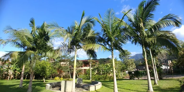 Imagem Excelente Casa em condomínio Fechado