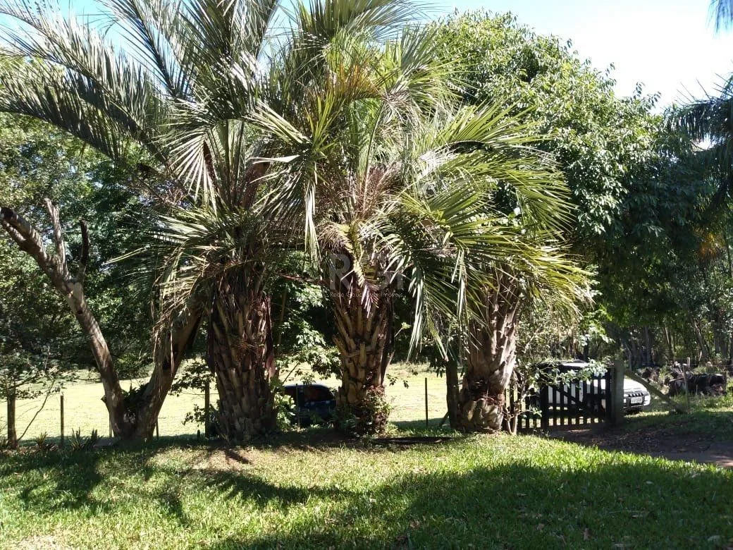 Imagem Sítio para Venda - 240m², 4 dormitórios, Itapuã