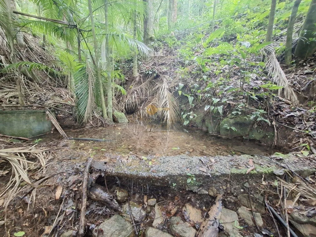 Imagem Sítio para Venda em Teresópolis / RJ no bairro Serrinha
