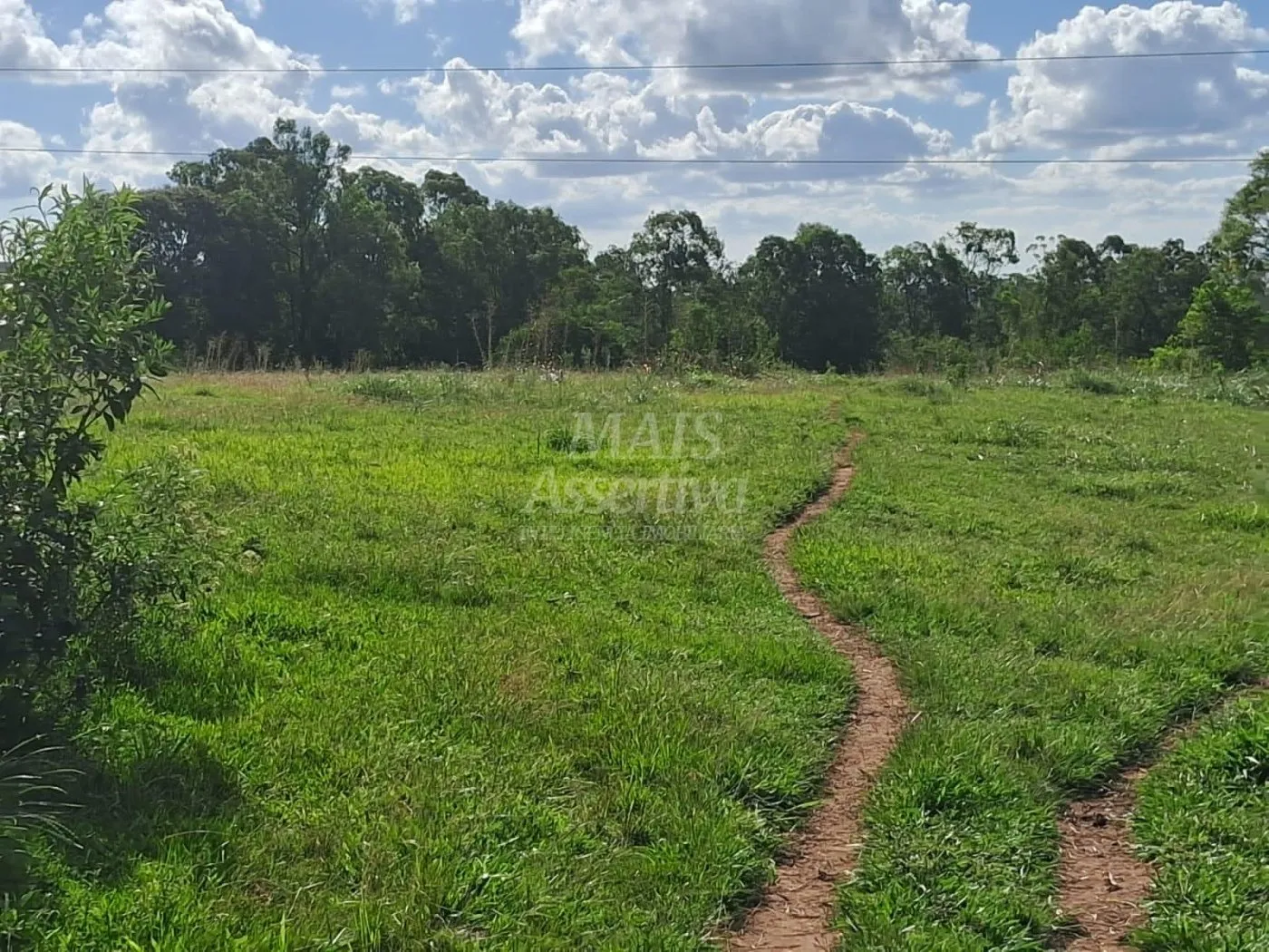 Imagem Área de Terras à venda, localizada em Taquara, ótima para plantação ou criação
